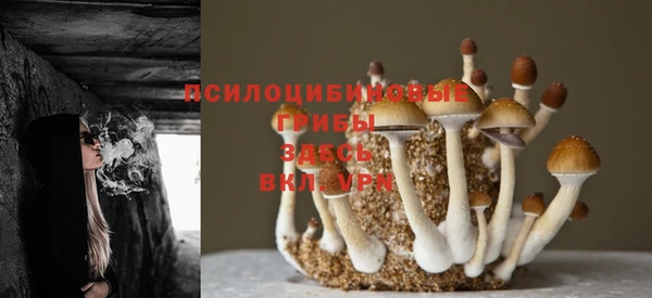 экстази Новокубанск