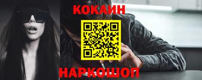 крисы Кингисепп