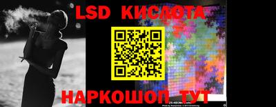 крисы Кингисепп