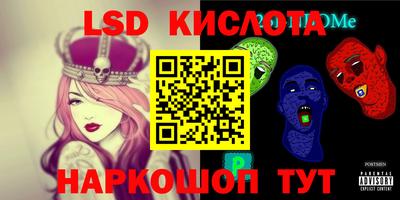 крисы Кингисепп