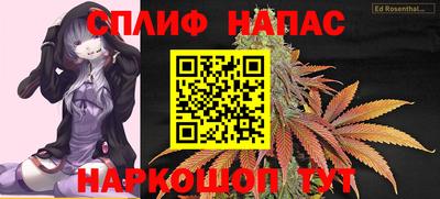 крисы Кингисепп