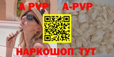 крисы Кингисепп
