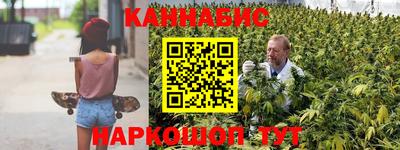 крисы Кингисепп