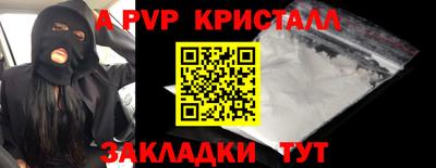 крисы Кингисепп