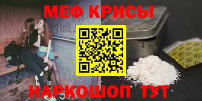 крисы Кингисепп
