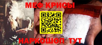 крисы Кингисепп