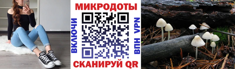 Галлюциногенные грибы мицелий Партизанск