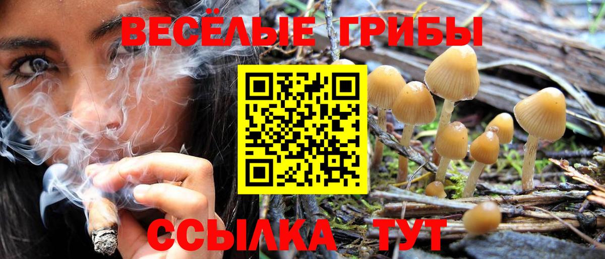 Галлюциногенные грибы MAGIC MUSHROOMS  Вход с VPN  Партизанск 