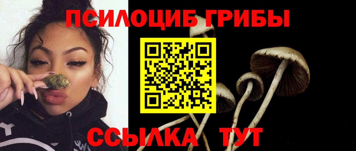 Галлюциногенные грибы Psilocybe Партизанск